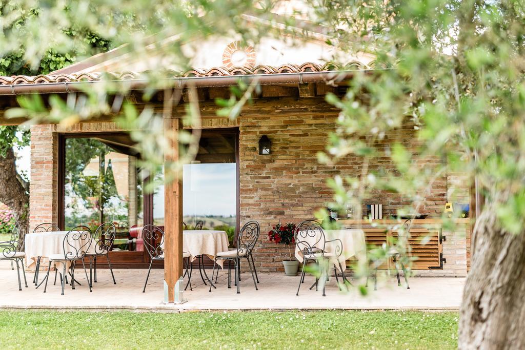 Poggio Antico Apartment Monte San Vito Exterior photo